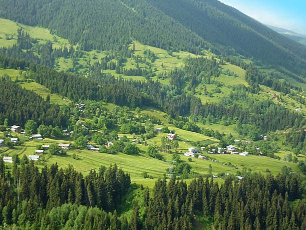 Çam ormanları arasındaki yeşil yamaçlar ve dağınık evler