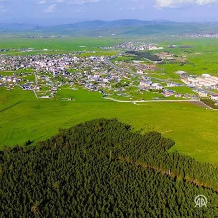 Orman ve yeşil ova içindeki yerleşimin havadan görünümü