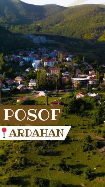 Yeşil bir vadideki Posof yerleşiminin yüksekten görünümü